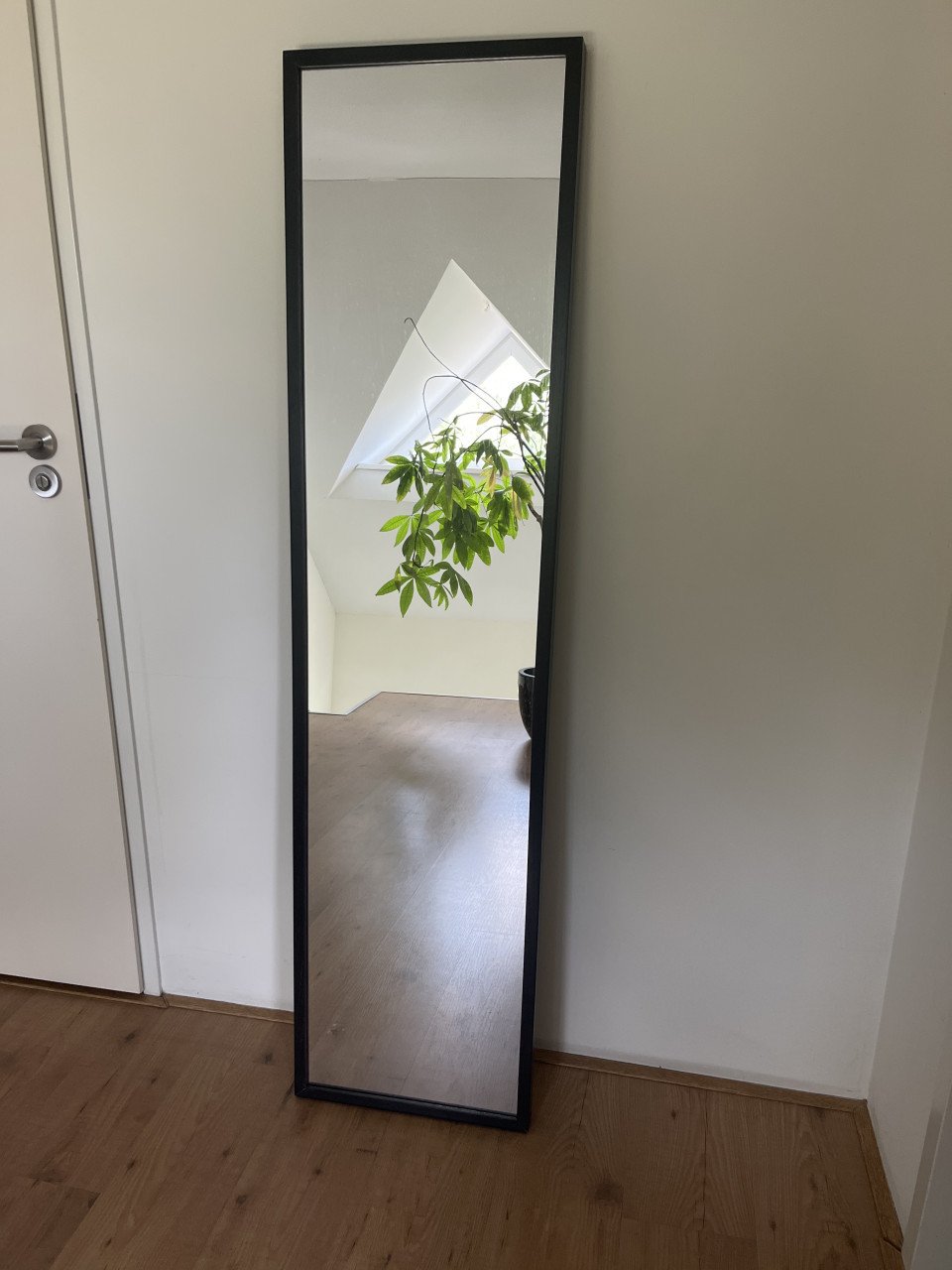 Spiegel 160x40 cm