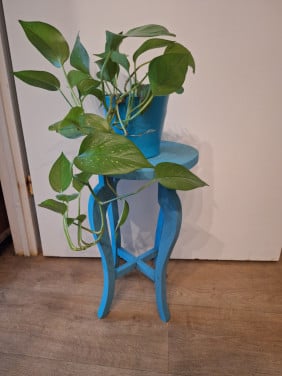 Plantetafeltje