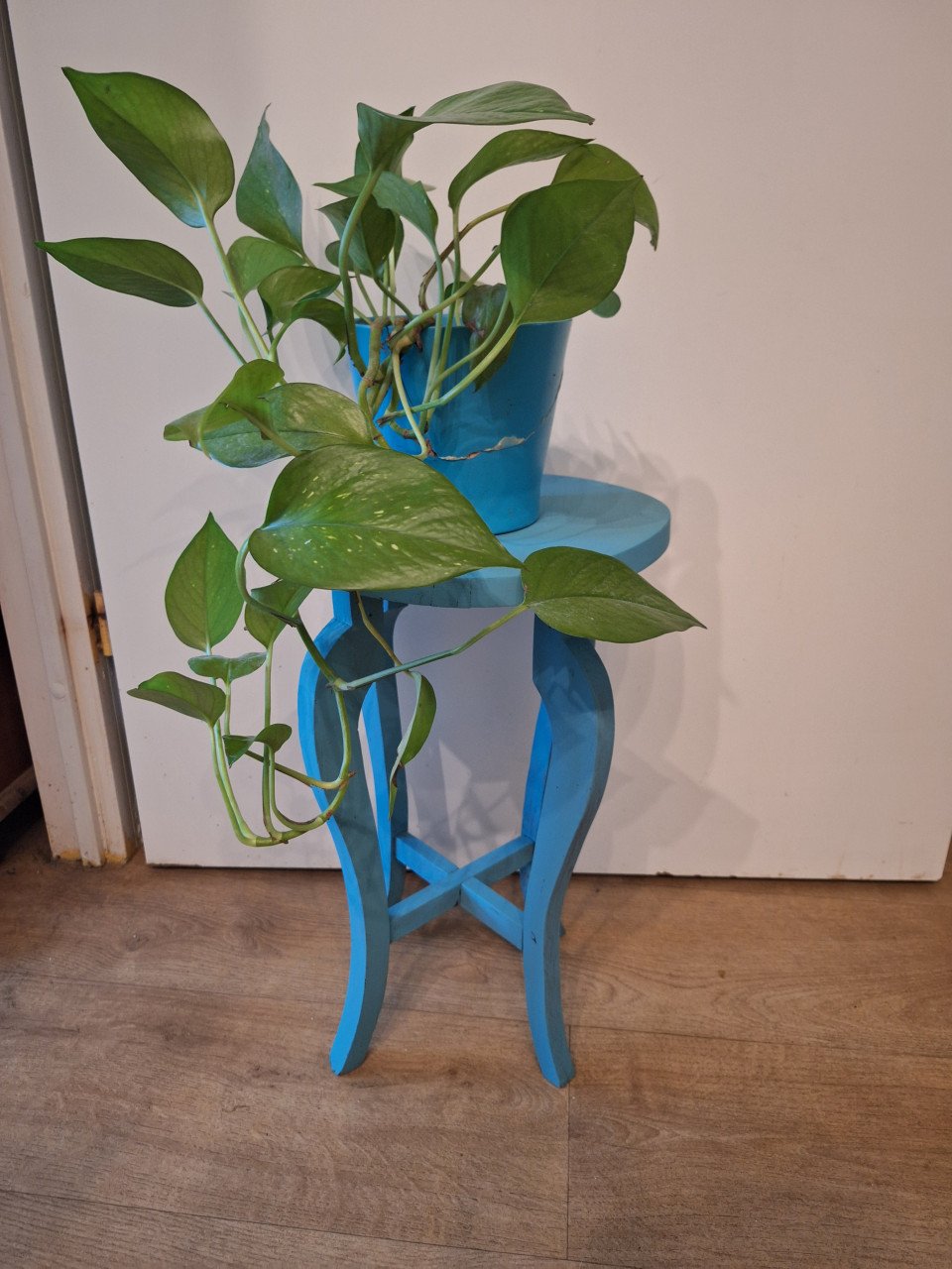 Plantetafeltje