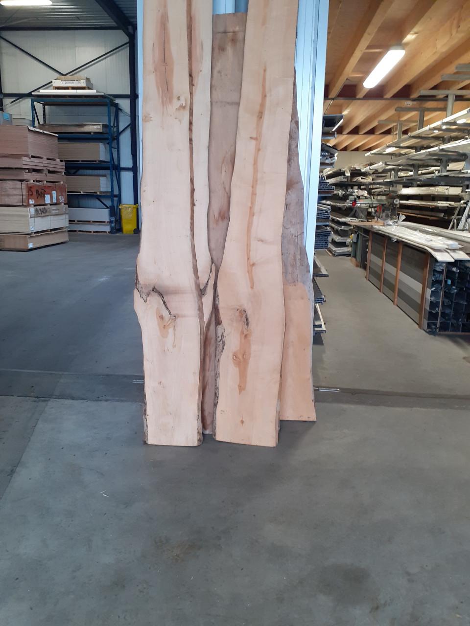 Breed plataan boomstamblad voor 25 euro