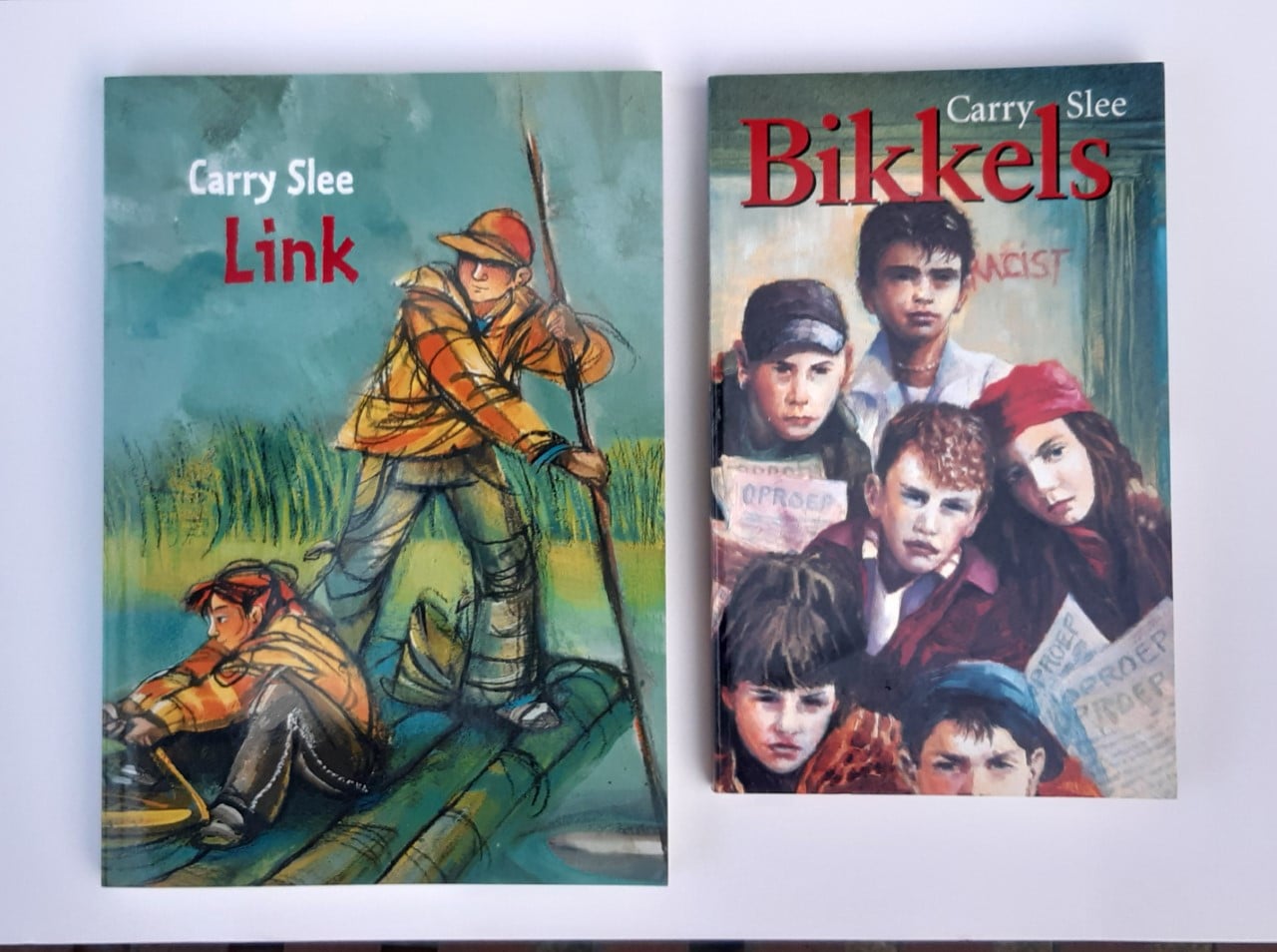Carry Slee: Bikkels of Link