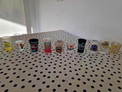 Shotglaasjes, bierglazen en nog wat souvenirs