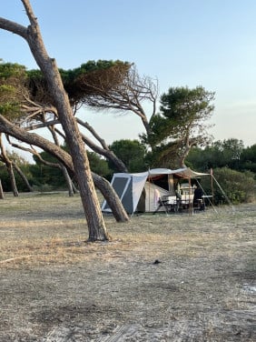 Holtkamper Cocoon XL