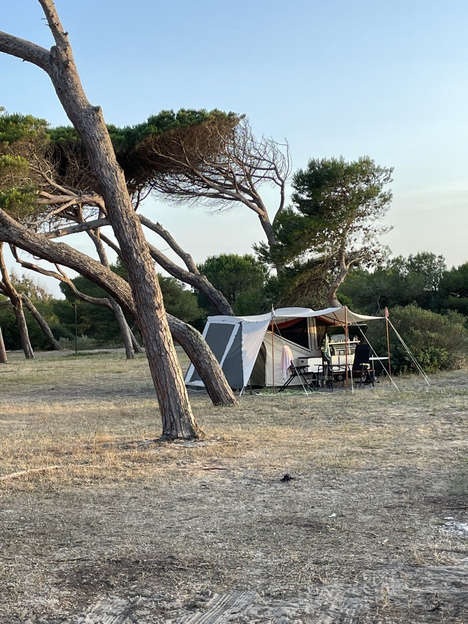 Holtkamper Cocoon XL