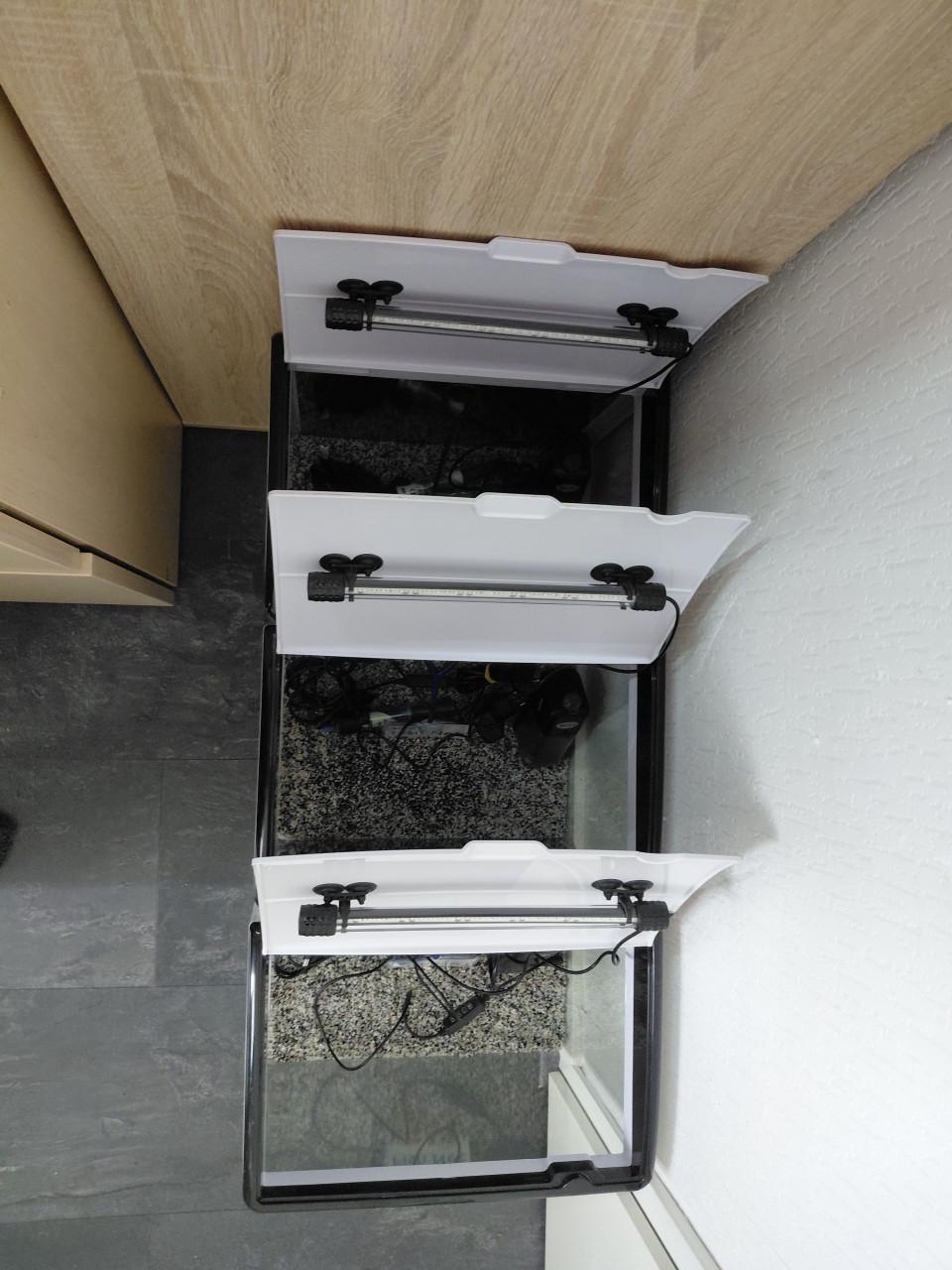 3 x panoramisch aquarium 35 ltr