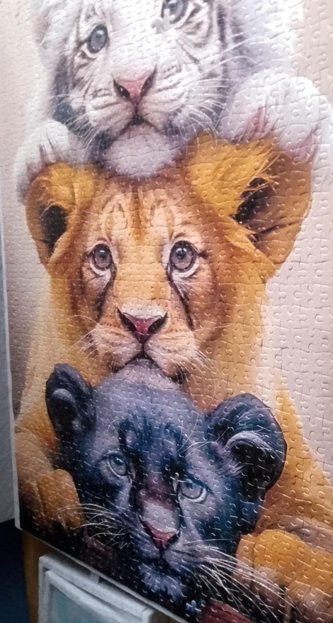Jigsaw puzzel