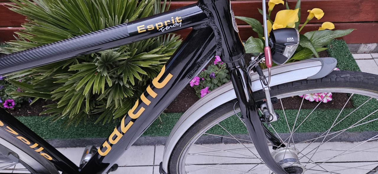 Gazelle Esprit Trendy herenfiets 49 cm