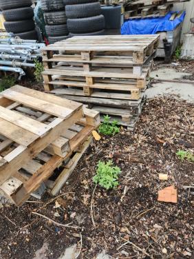 Pallets gratis ophalen