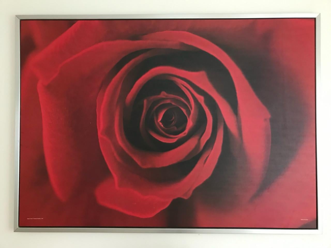 Ikea reproductie in aluminium lijst