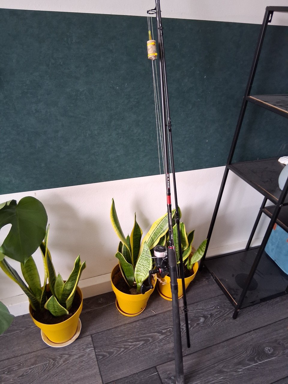 Spro spihengel met molen , vis koffer met onderlijnen en andere spulletjes