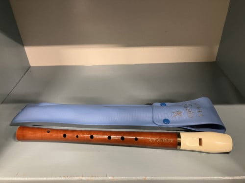Hohner - blokfluit met hoes
