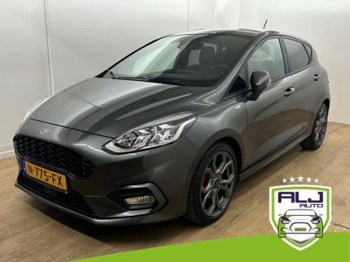 Ford Fiesta occasion 1.0 ecoboost titanium st | grijs | tweedehands ford fi
