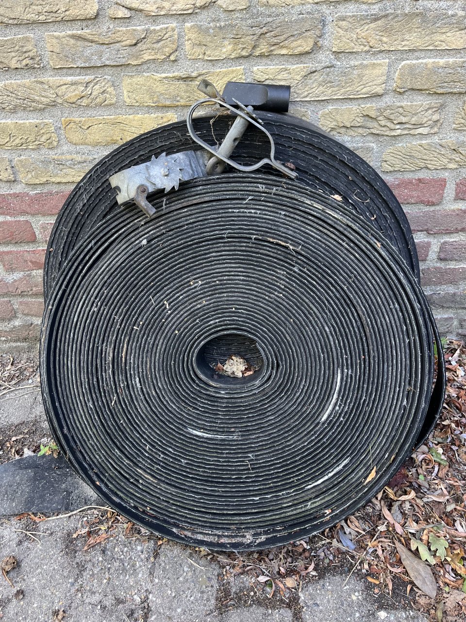 Rubber band