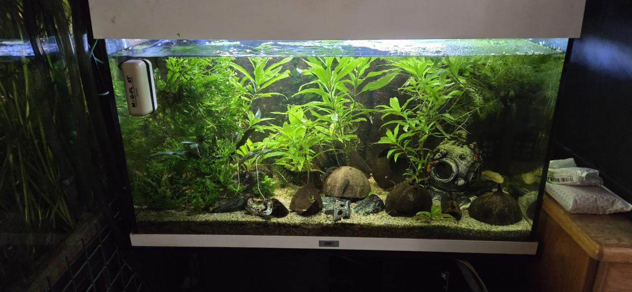 Aquarium