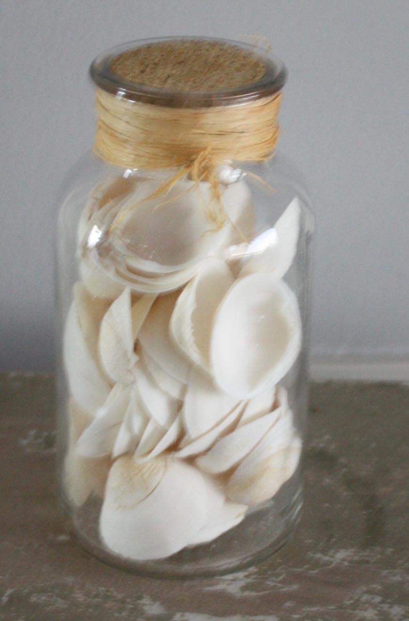 Glazen pot met witte schelpen