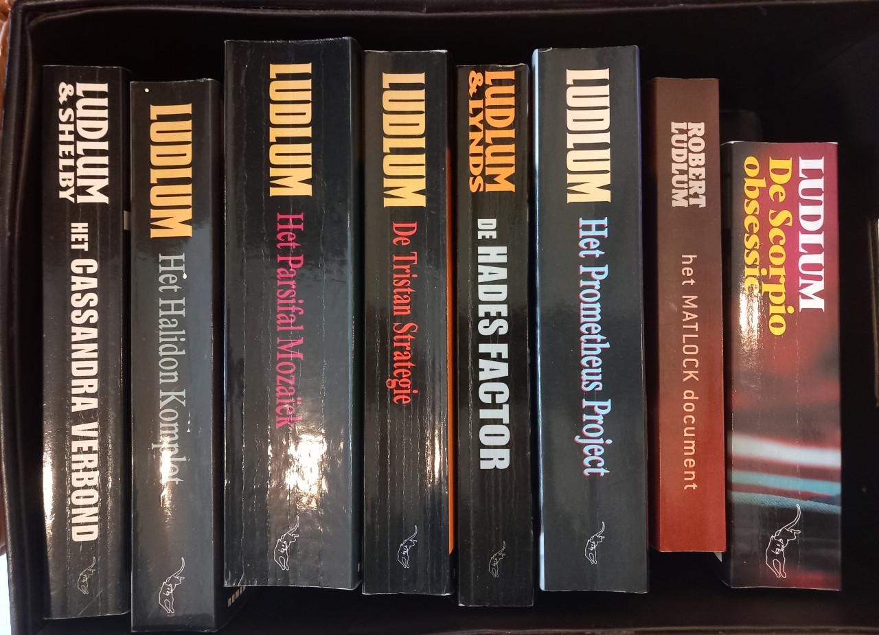 Boeken van Ludlum