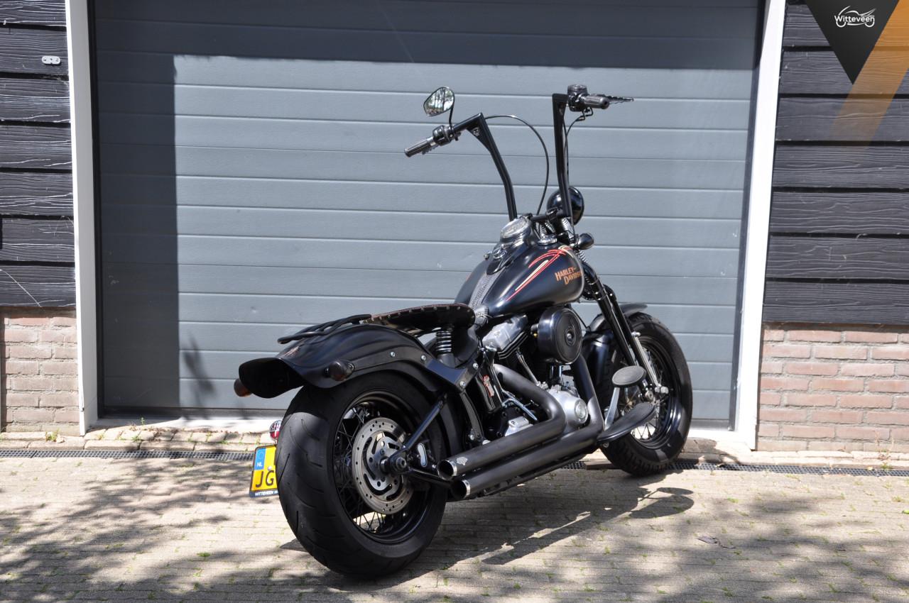 Harley Davidson FLSTSB Cross Bones 96