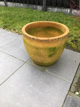 2 grote terra cottapotten