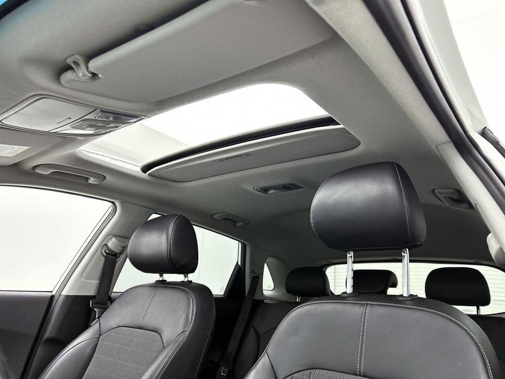 Kia Niro 1.6 gdi hybrid edition | automaat | schuif-/kanteldak | apple carp