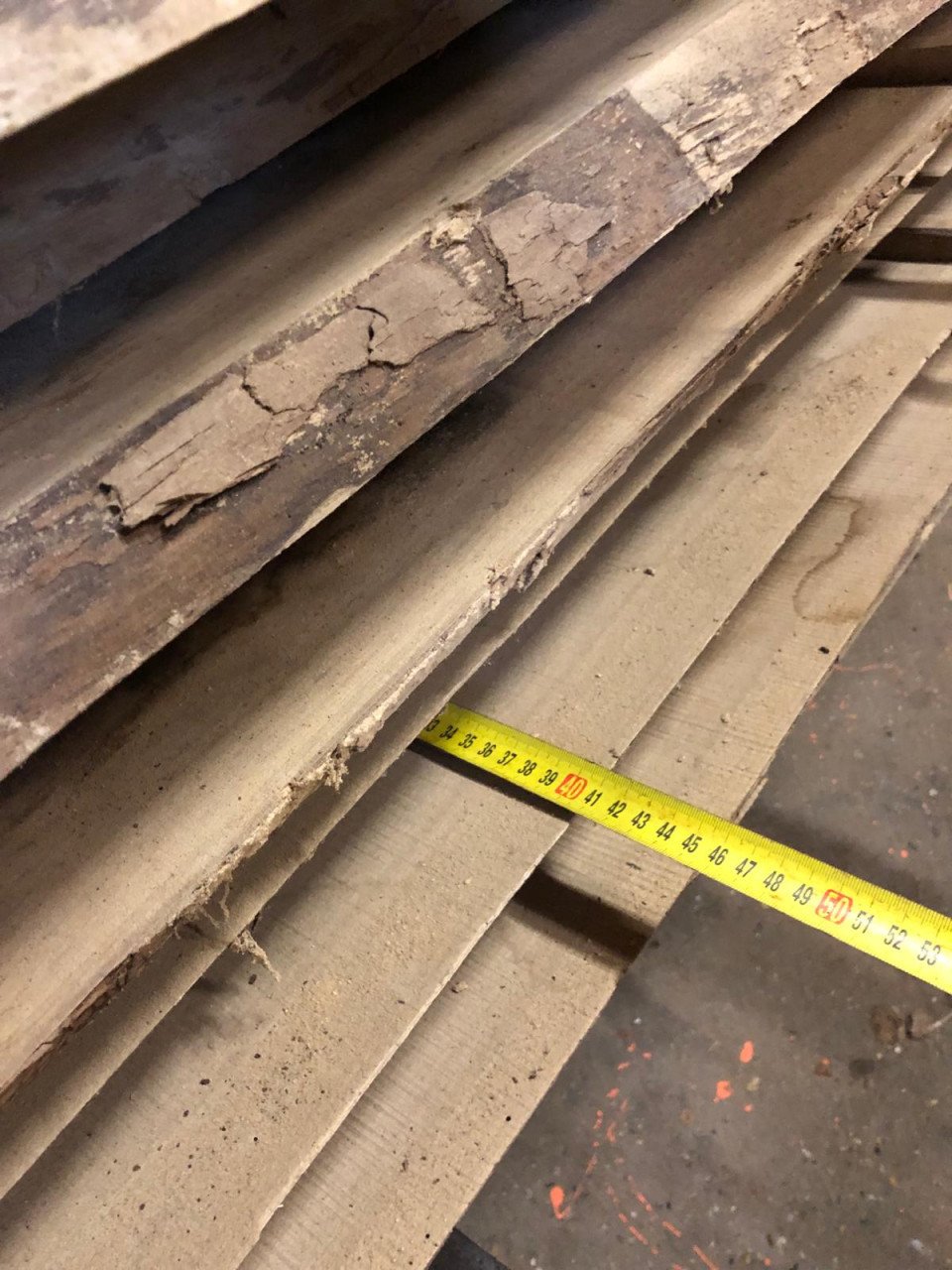 Zeeuwse Iep / Olm stam, hout voor meubels en interieur