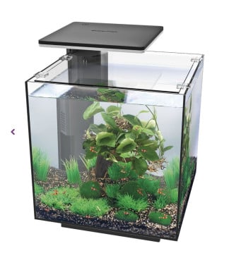 Superfish Qubiq 30 pro in de kleur zwart te koop
