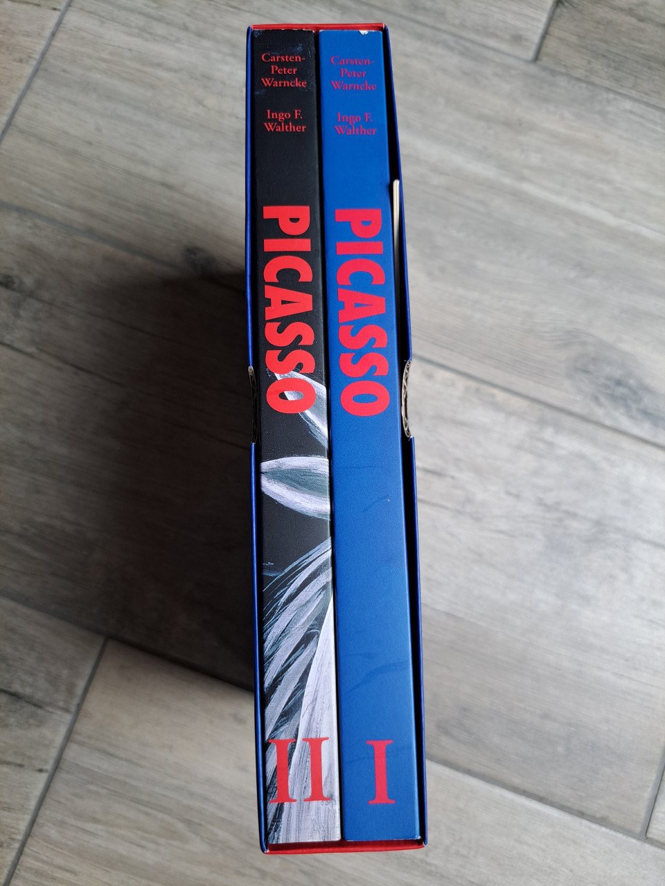"Picasso" door Carsten-Peter Warncke en Ingo F. Walther