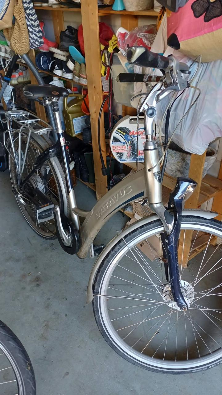 Elektrische fiets