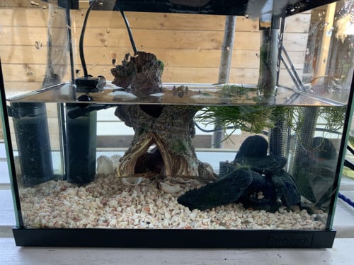 Aquarium klein met benodigdheden te koop