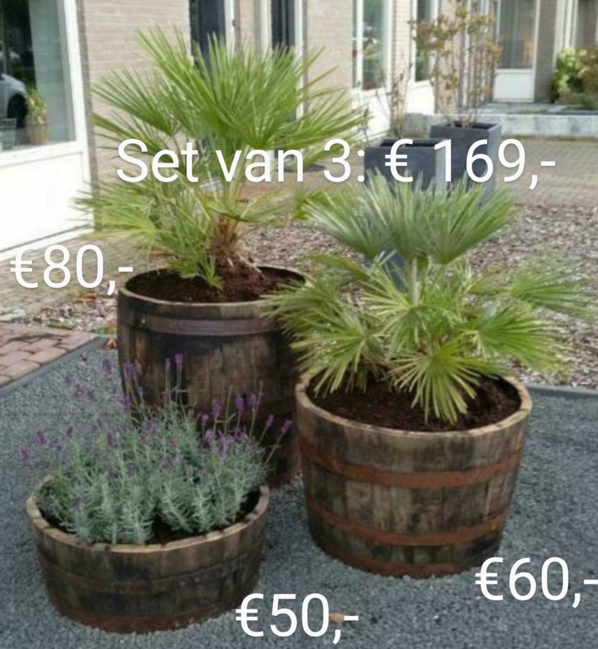 Ronde houten bloembakken, kuipen