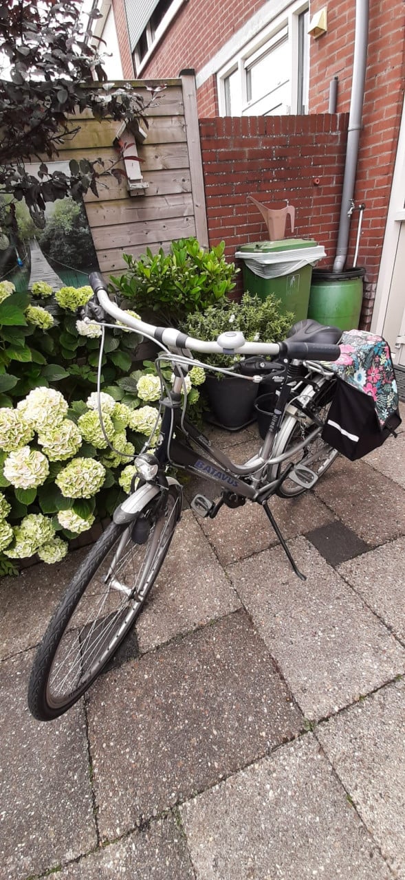 Batavus Jakima