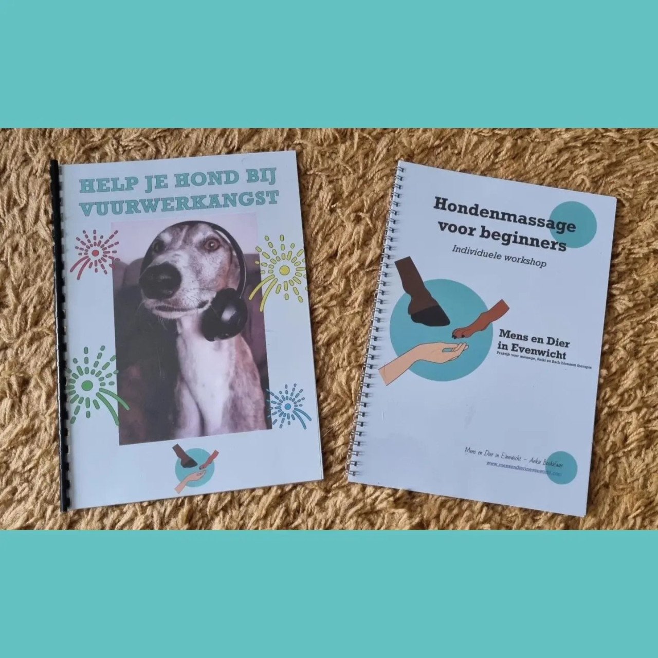 Workshop: Hondenmassage voor beginners
