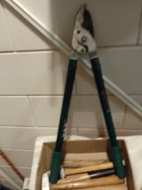 Takkenschaar