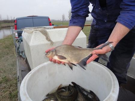 Koop je visvergunning voor het jaar 2026 bij Jos en Jolanda en Saskia 17,50