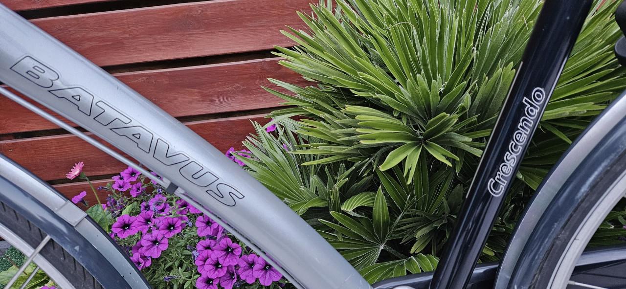 Batavus  Crescendo Herenfiets