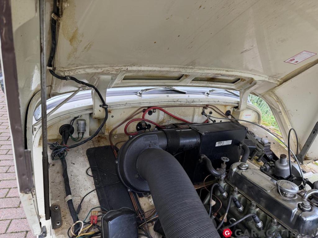Austin Healey Onbekend sprite mk1 frogeye