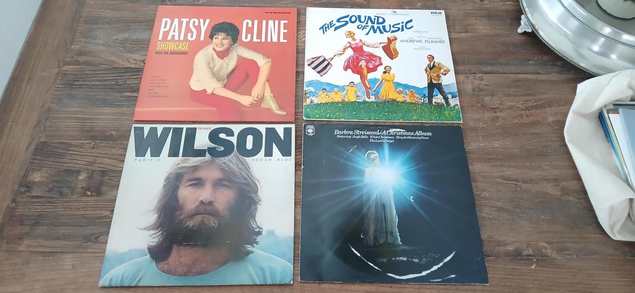 Tas met 20 LP’s / vinylplaten – diverse titels – € 100,- 🎶