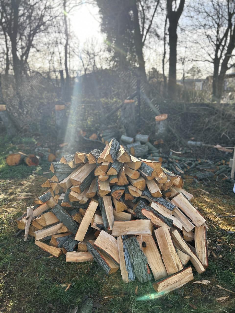 Kachelhout - Elzenhout