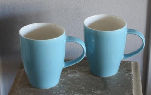 2grote licht blauwe mokken