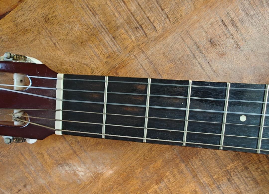 Gitaar admira paloma
