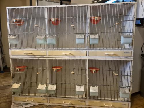 Twee broedkooien 3-delig (wit)