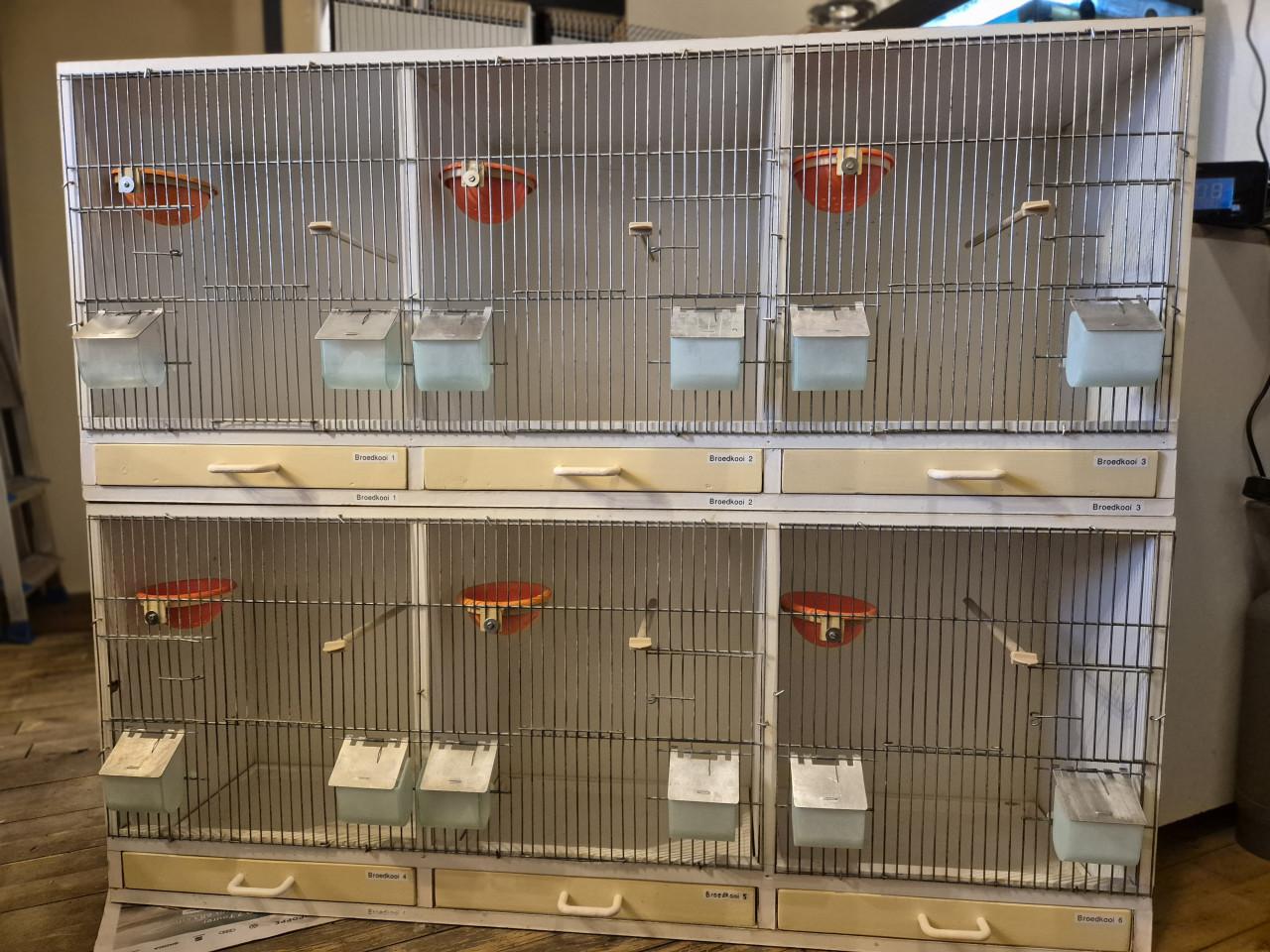 Twee broedkooien 3-delig (wit)