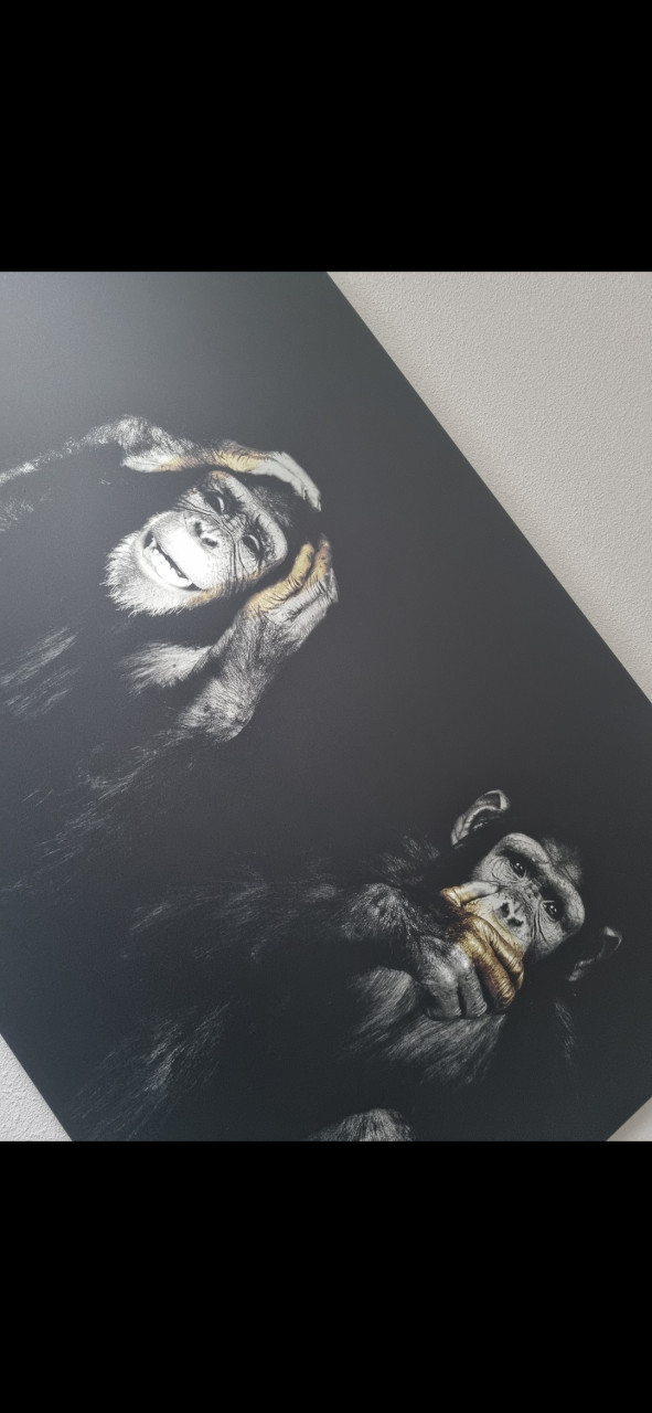 Decoratie schilderij zwart met goud