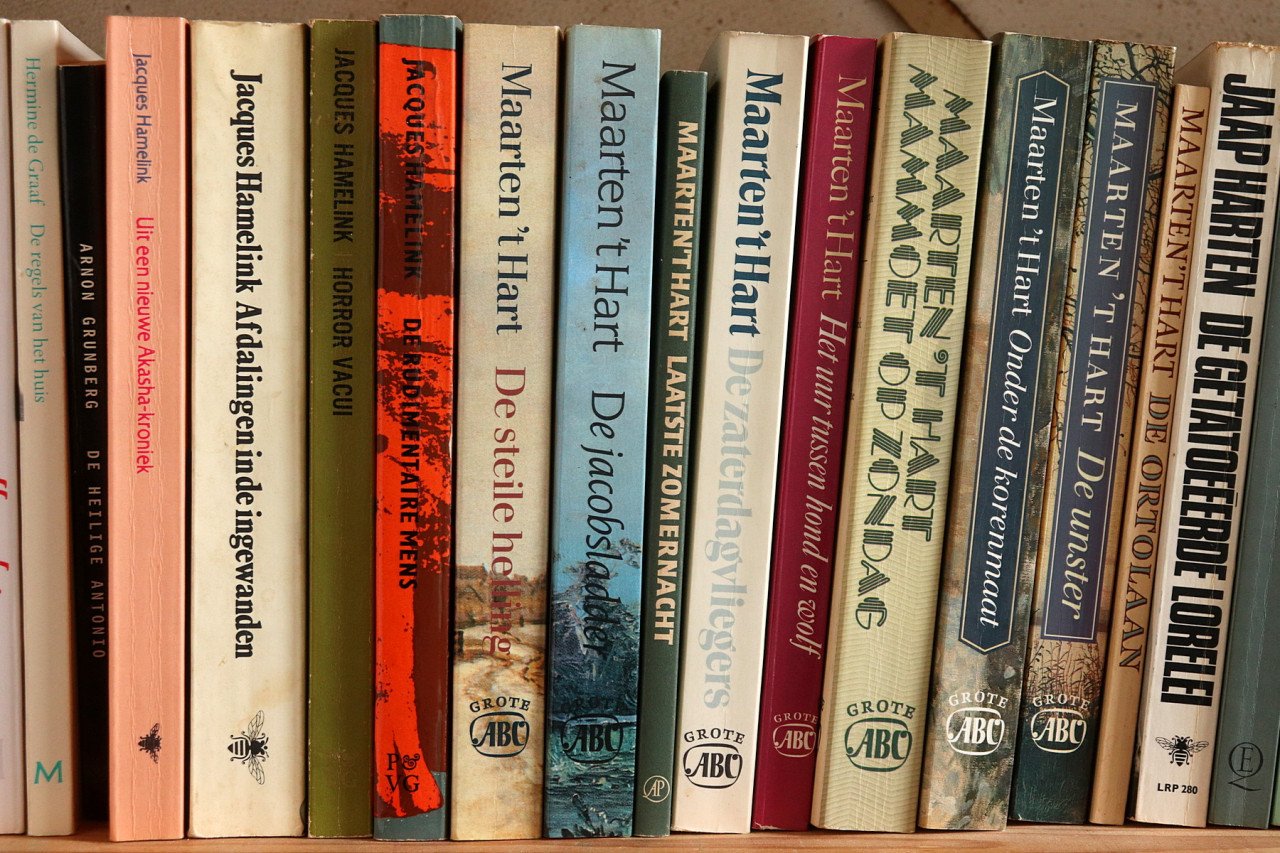 Nederlandse top literatuur