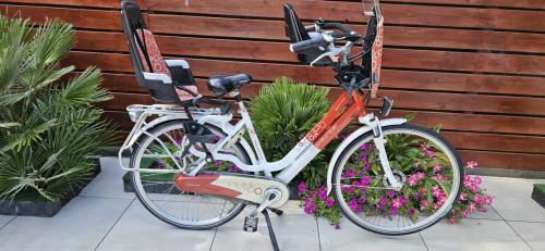 Sparta Amazone Dynamic Moederfiets