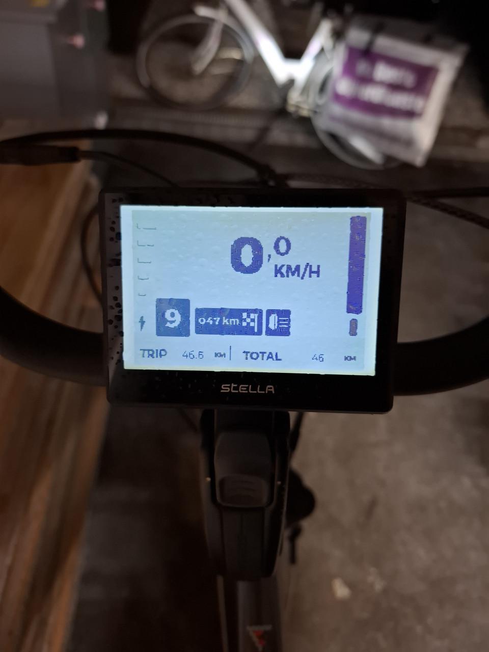 Stella livorno elektrische herenfiets