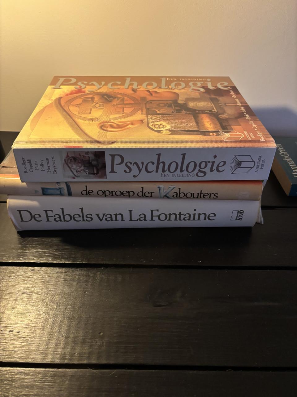 Grote partij boeken