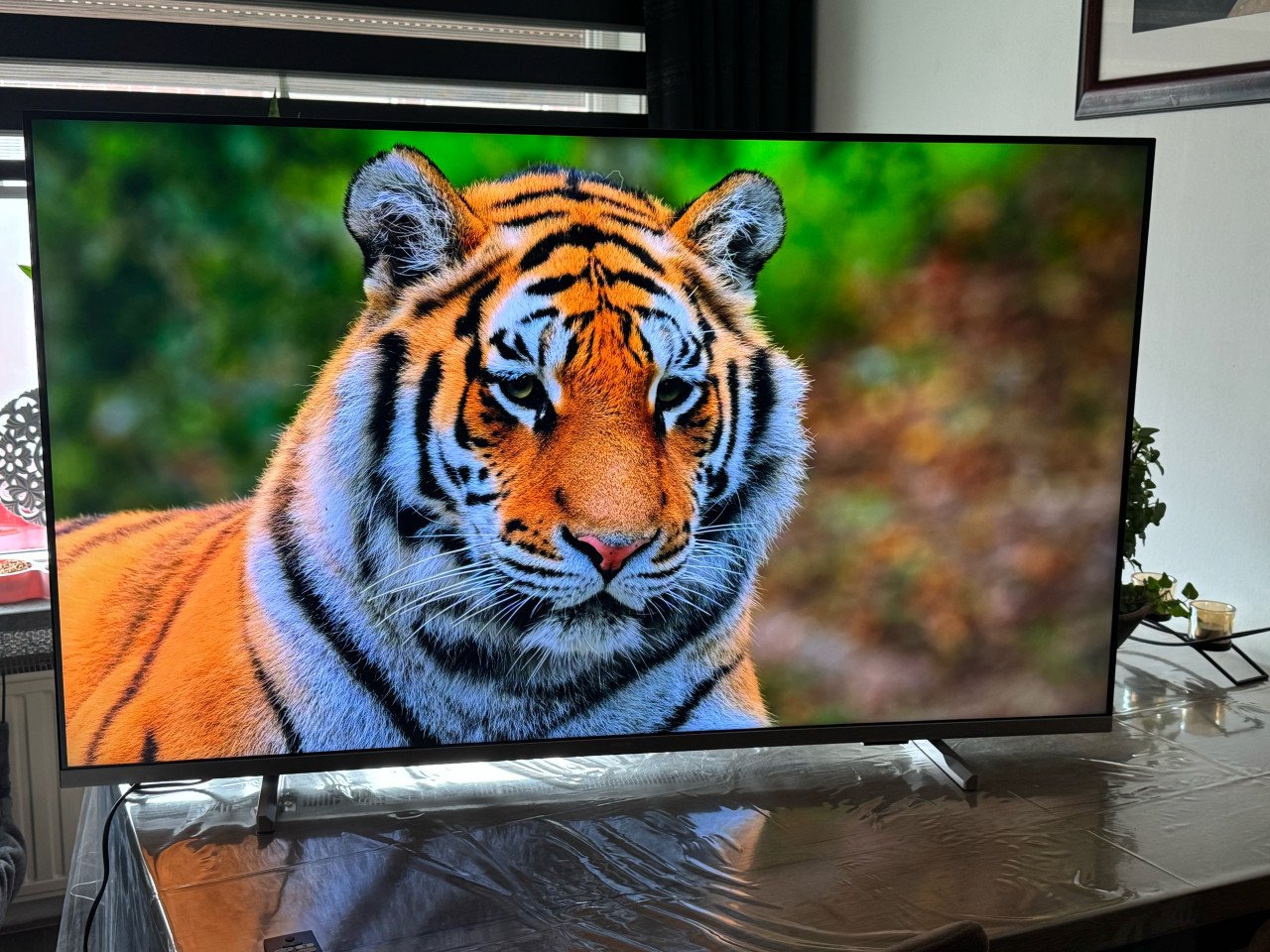 Philips smart tv 4k 55 inch ongeveer twee jaar oud