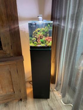 Dennerle Nano 30 set compleet , bijna nieuw!