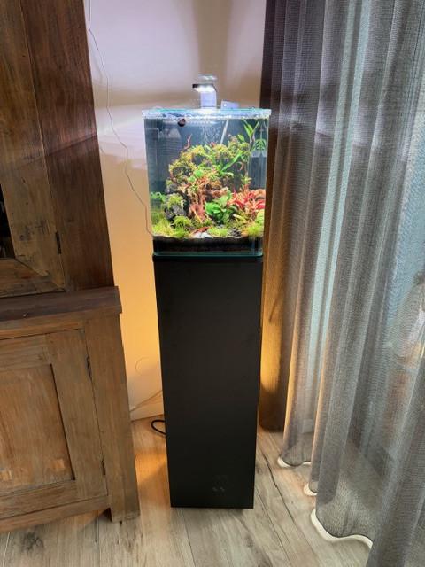 Dennerle Nano 30 set compleet , bijna nieuw!