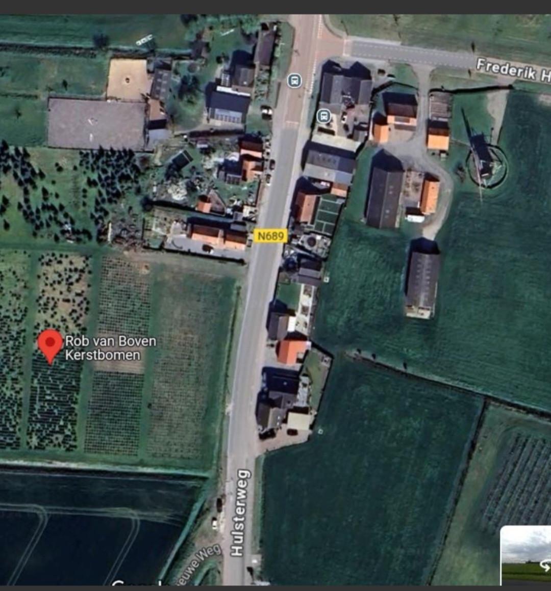 Kerstbomen 1 tot 7 meter